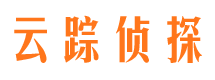 新平市侦探公司